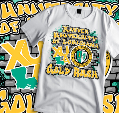 HBCU GRAFFITI PNG shirt bundle (20 files)
